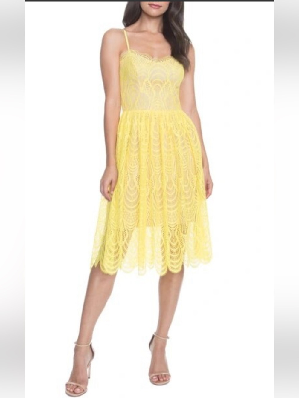 Dress The Populatiion Size M Francesca Embroidered Lace A-Line Dress, Dandelion
